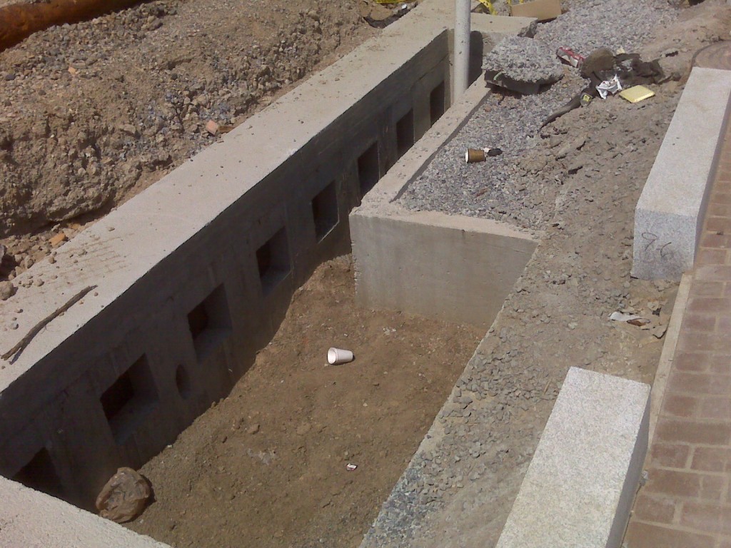 IMG00075
