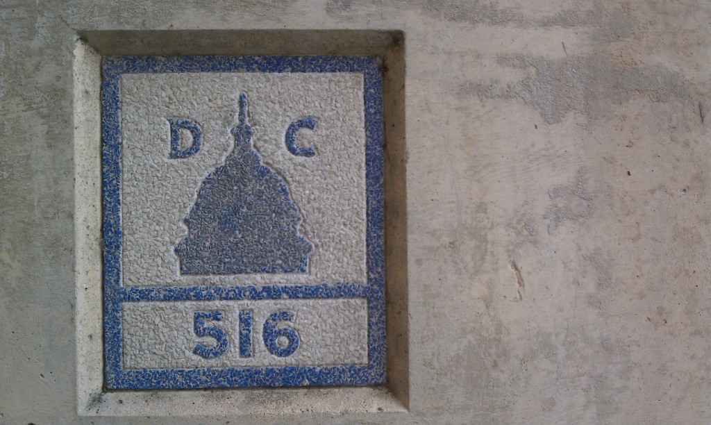 IMAG0447